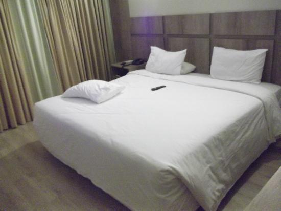 ברזיליה America Bittar Hotel מראה חיצוני תמונה